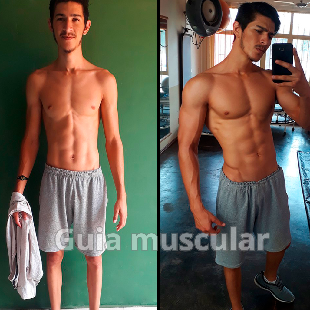 Guia-muscular-6.png